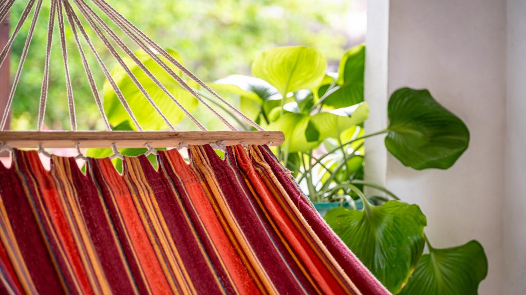 Photo 192: Beau Bamboo - Mahé (Seychelles)