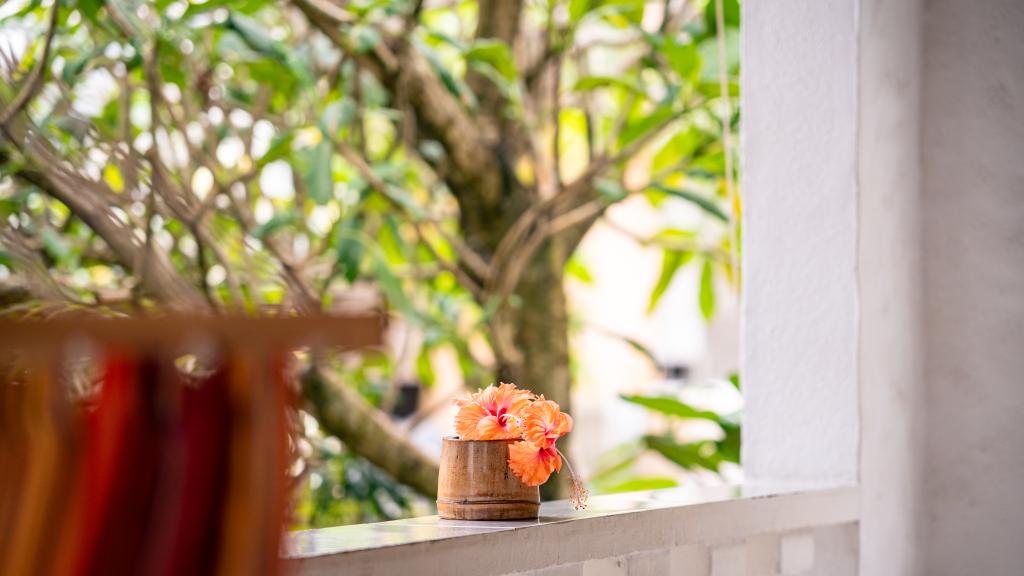 Photo 191: Beau Bamboo - Mahé (Seychelles)