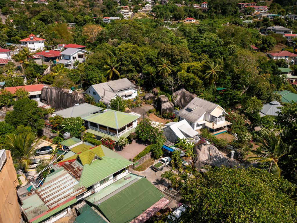 Beau Bamboo - Photo 5