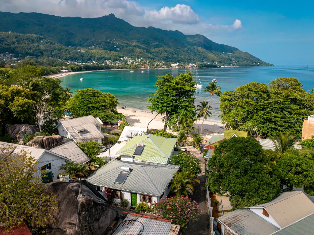 Beau Bamboo - Photo 5