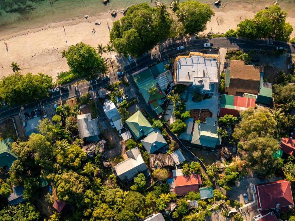 Beau Bamboo - Photo 8