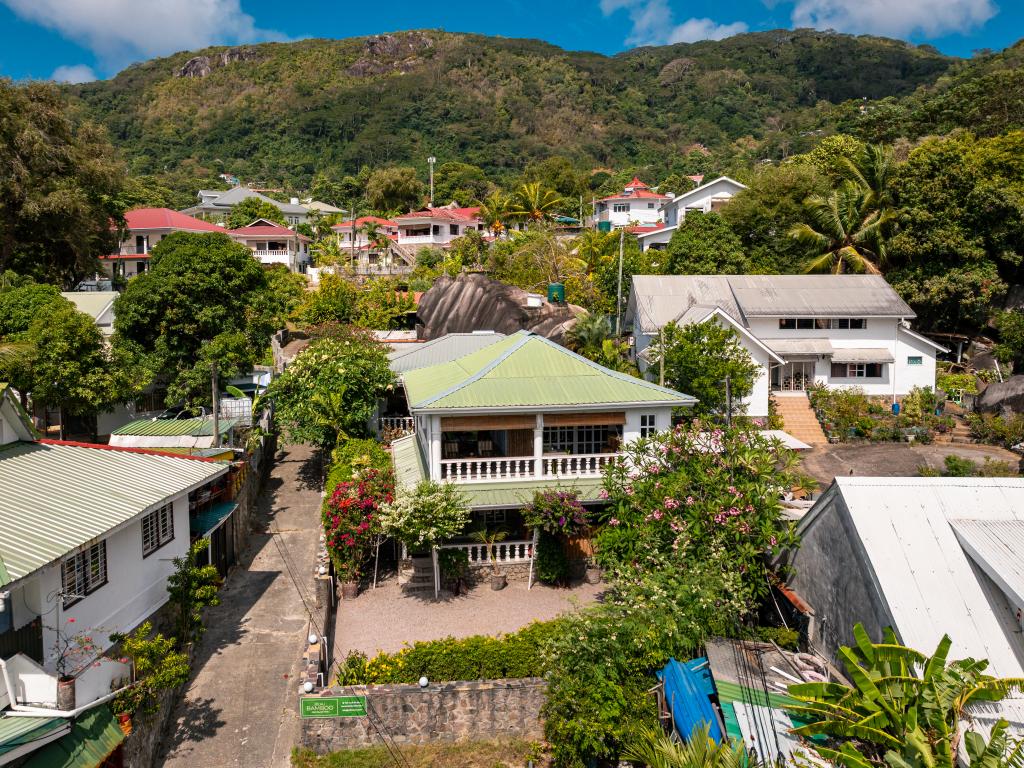 Beau Bamboo - Photo 2