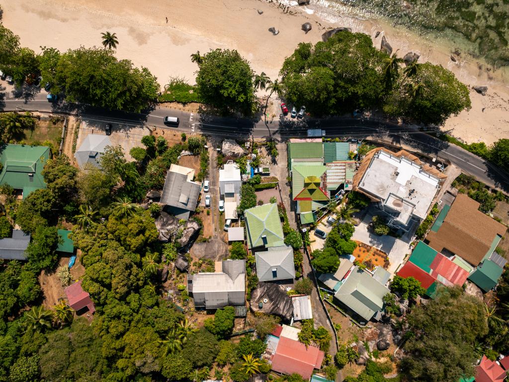 Beau Bamboo - Photo 7