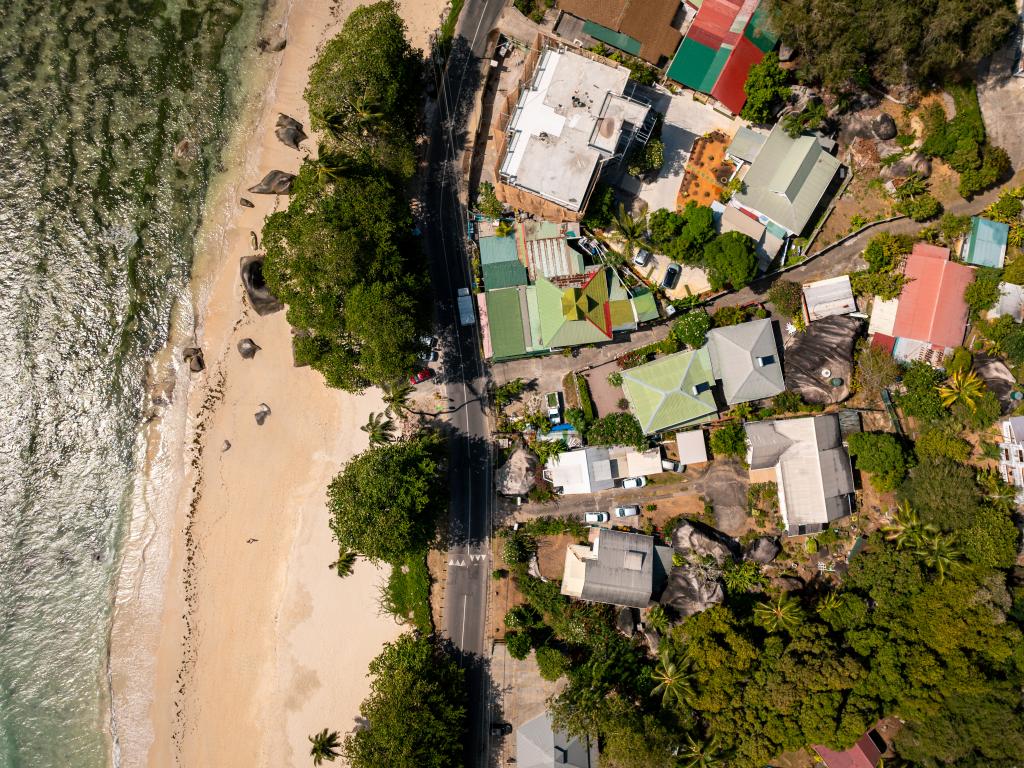 Beau Bamboo - Photo 9