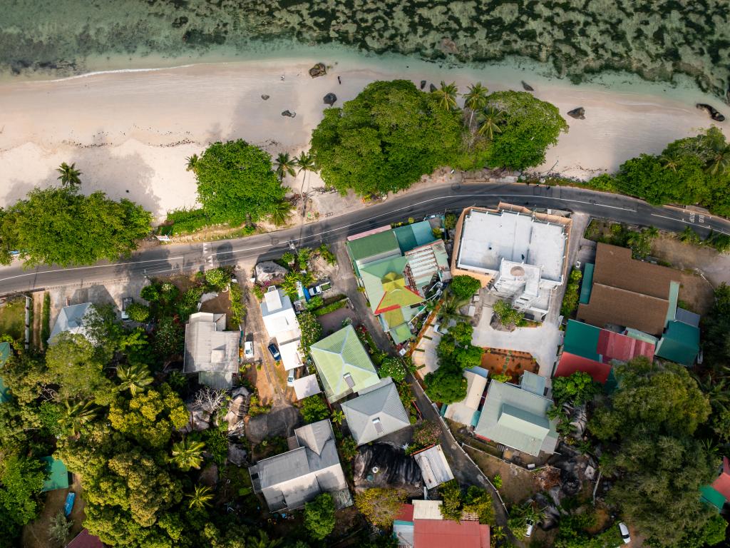 Beau Bamboo - Photo 6