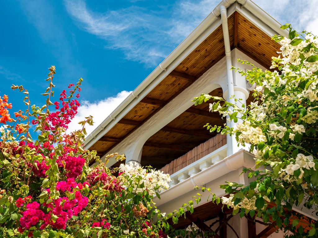 Beau Bamboo - Photo 7