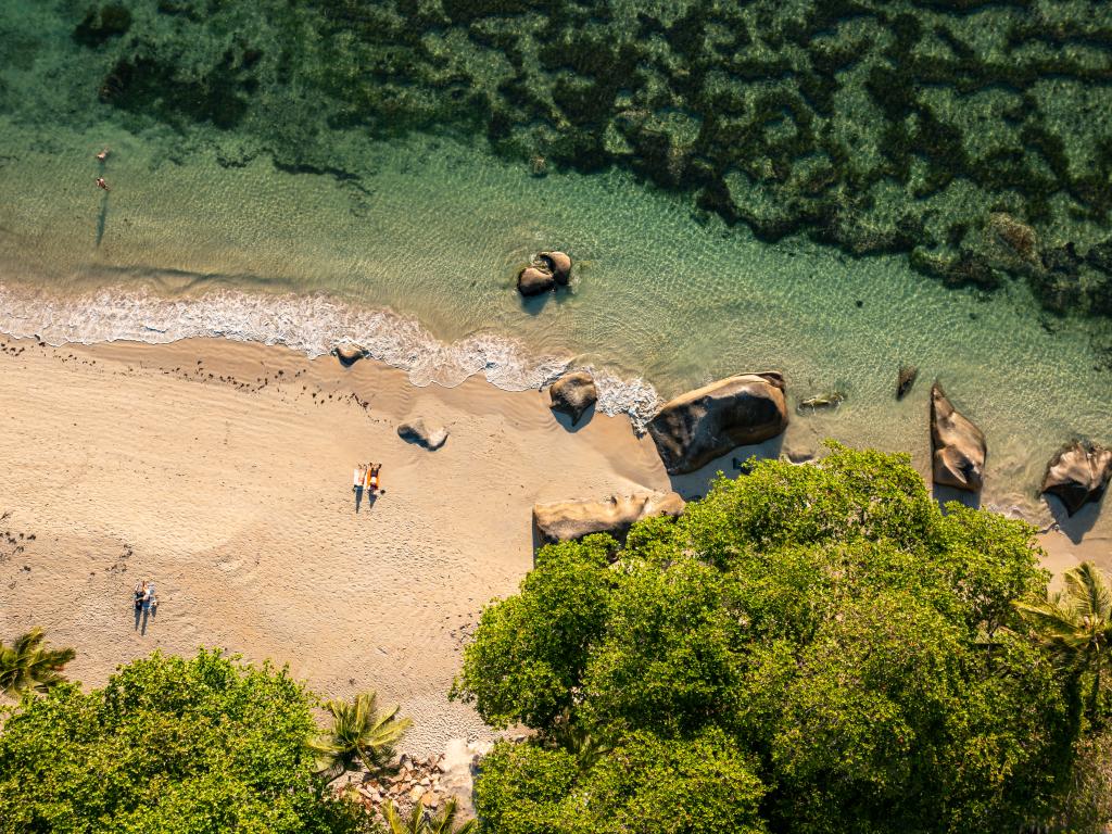 Beau Bamboo - Photo 3