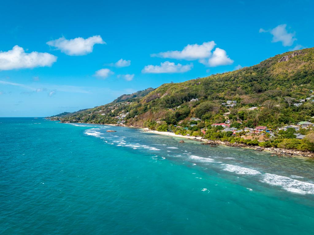 Beau Bamboo - Photo 8