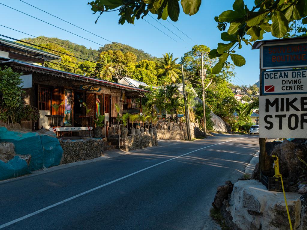 Beau Bamboo - Photo 4