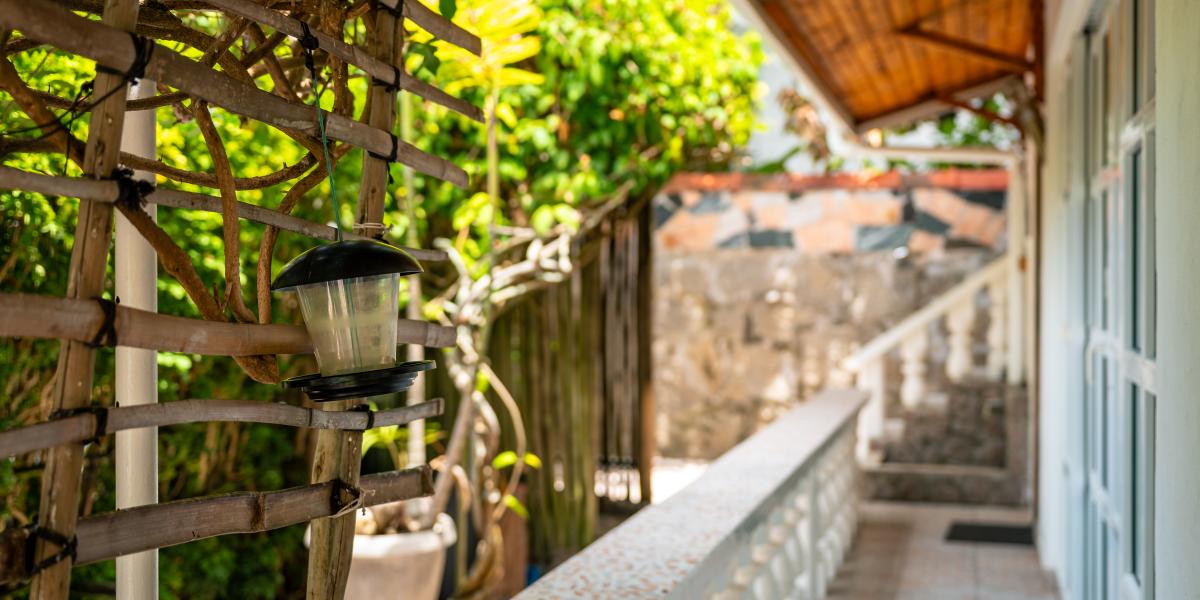 Beau Bamboo - Appartement Bamboo (unten)