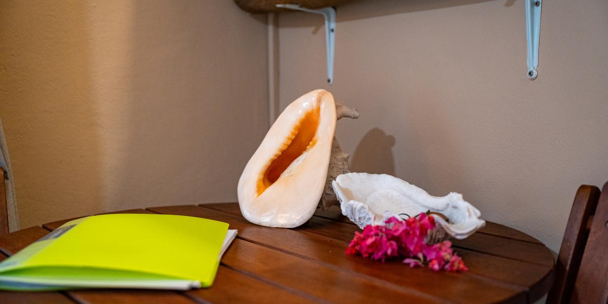 Beau Bamboo - Appartement Bamboo (unten)