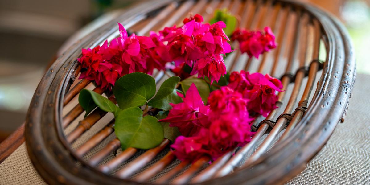 Beau Bamboo - Appartement Bamboo (unten)