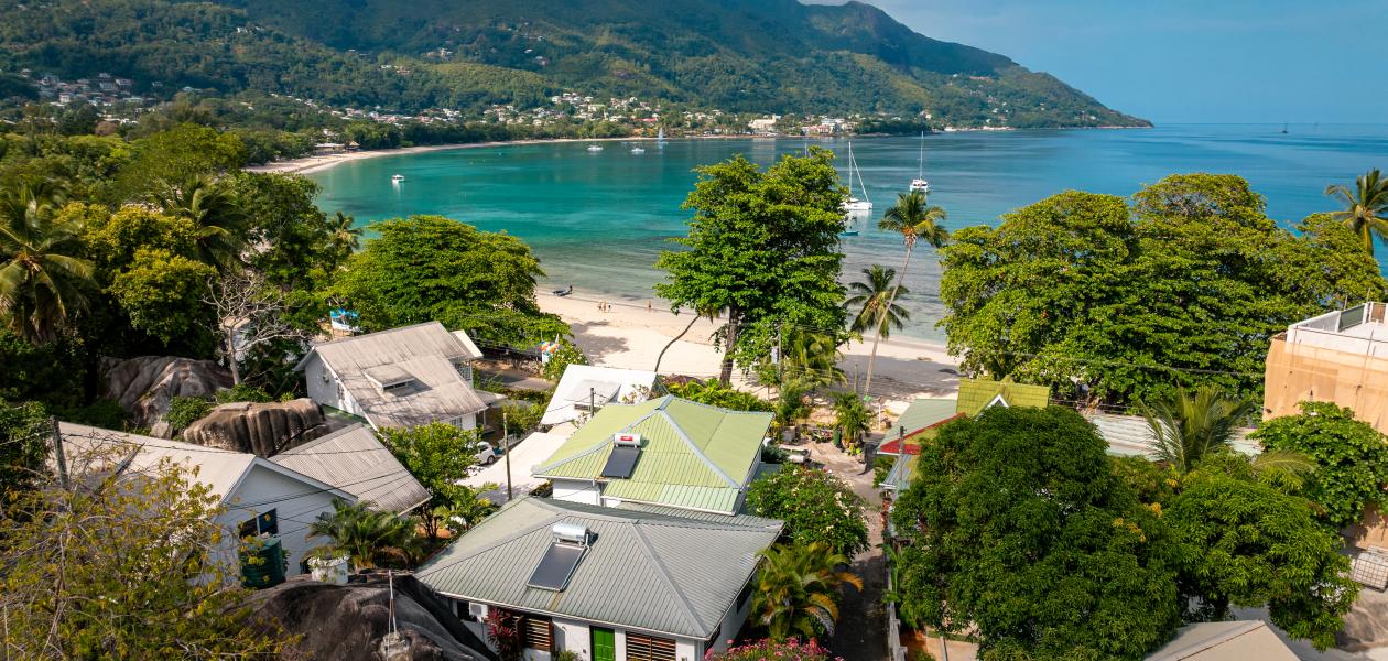 Beau Bamboo - Photo 1