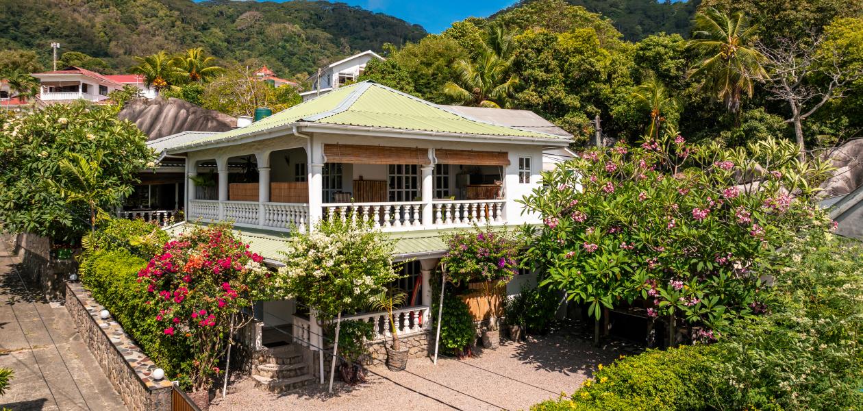 Beau Bamboo - Photo 1