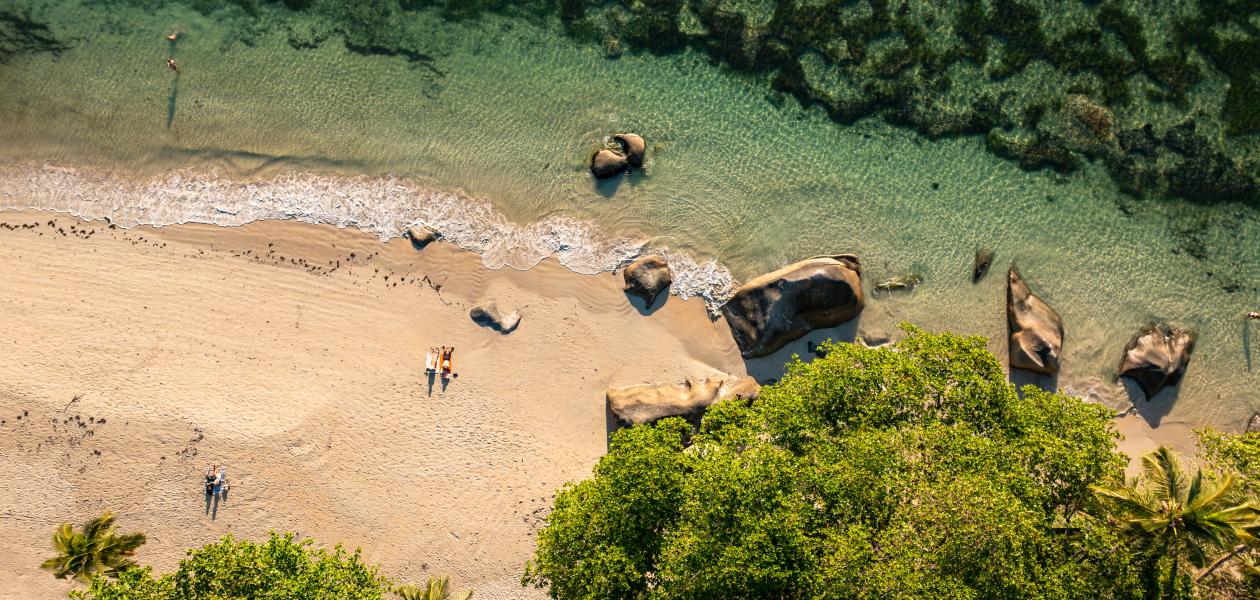 Beau Bamboo - Photo 1