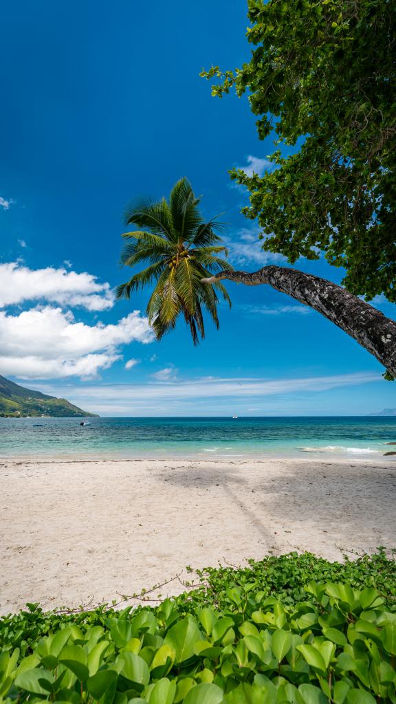 Foto 156: Beau Bamboo - Mahé (Seychellen)