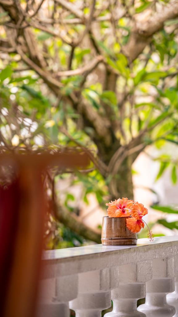 Photo 190: Beau Bamboo - Mahé (Seychelles)