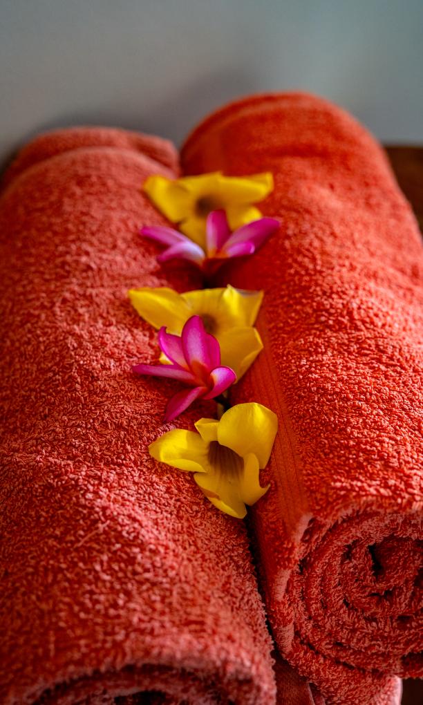 Beau Bamboo - Appartement Bamboo (unten)