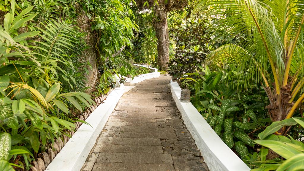 Photo 94: Bliss Hotel - Mahé (Seychelles)