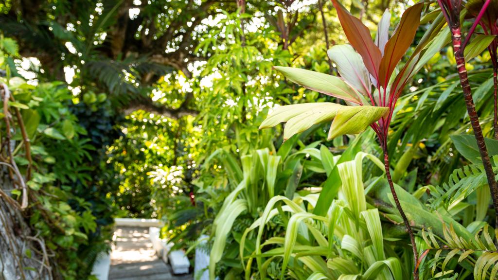 Photo 102: Bliss Hotel - Mahé (Seychelles)