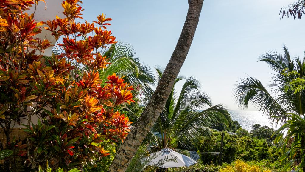 Photo 103: Bliss Hotel - Mahé (Seychelles)