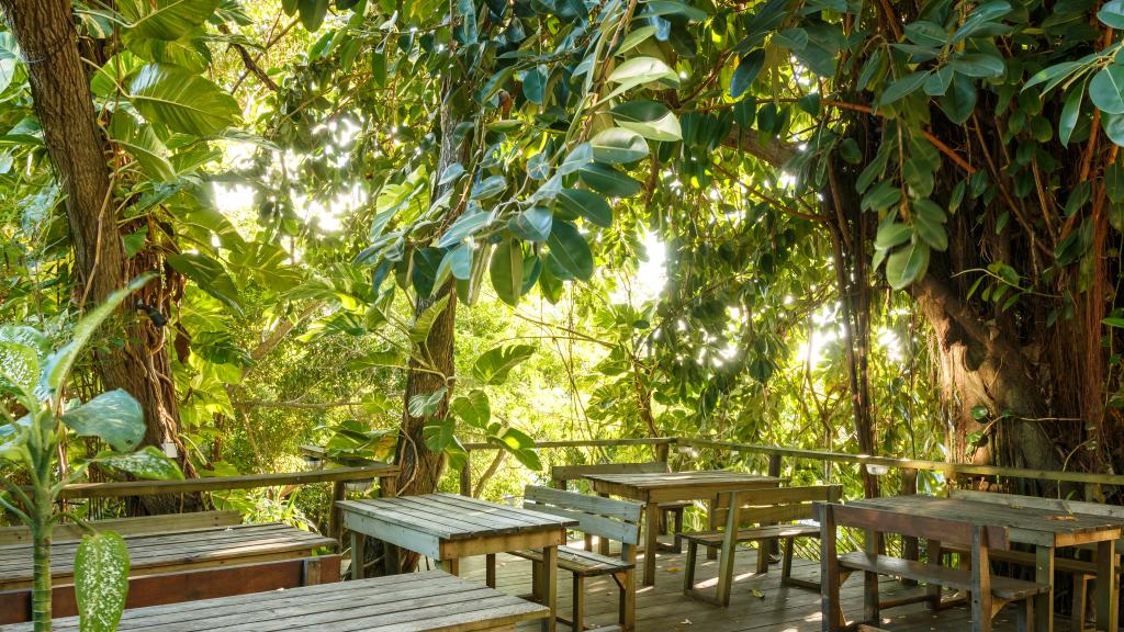 Photo 101: Bliss Hotel - Mahé (Seychelles)