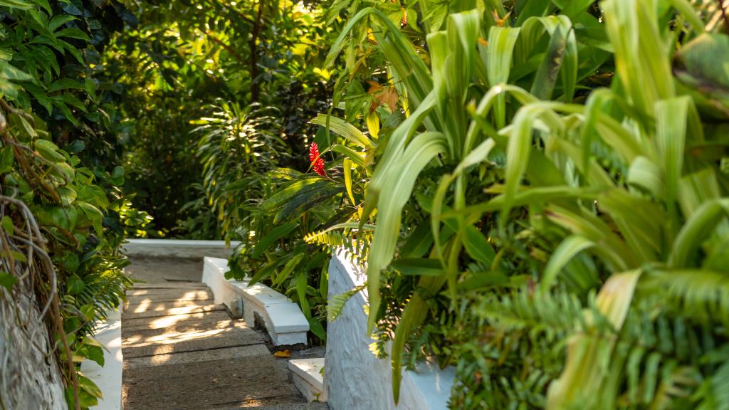 Photo 98: Bliss Hotel - Mahé (Seychelles)