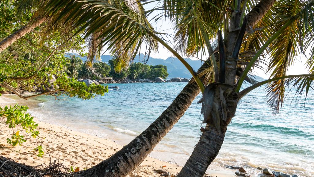 Photo 82: Bliss Hotel - Mahé (Seychelles)