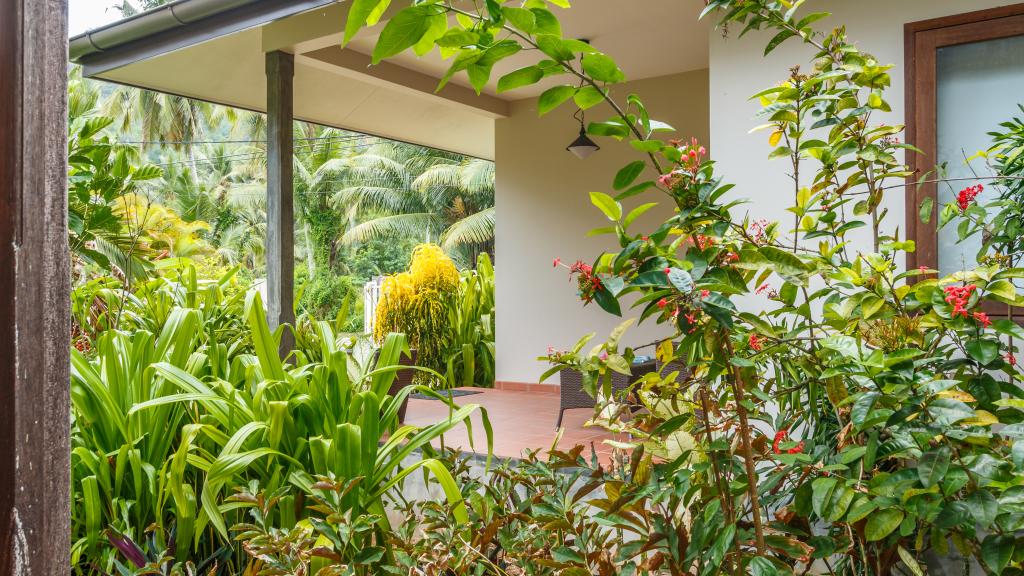 Photo 11: Fleur de Sel - Mahé (Seychelles)