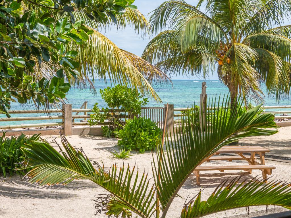 Fleur de Sel - Photo 7