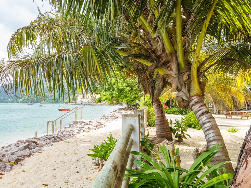 Fleur de Sel - Photo 3