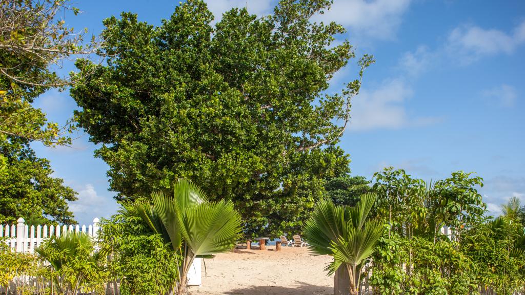 Foto 53: Le Surmer - La Digue (Seychelles)