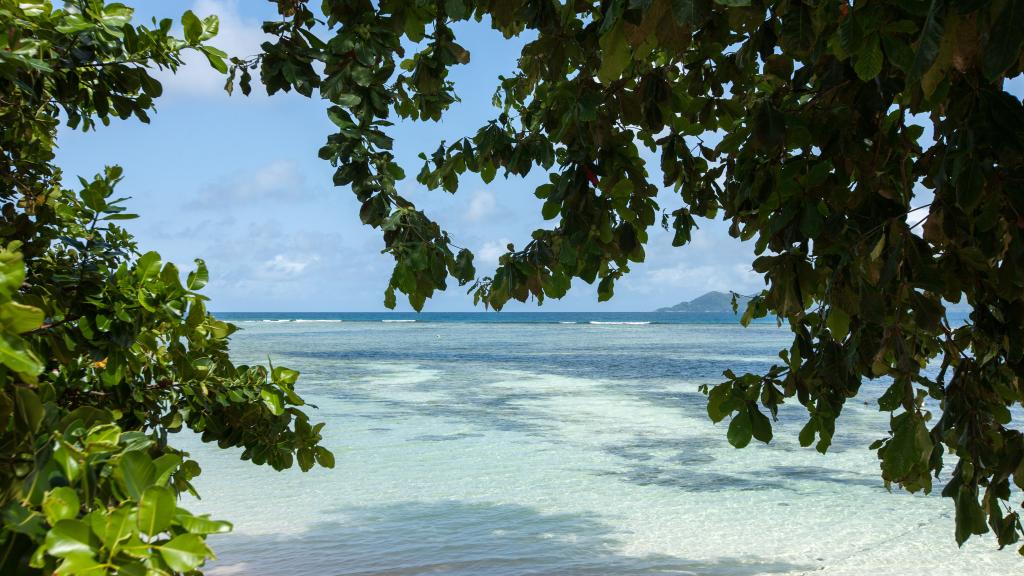 Foto 54: Le Surmer - La Digue (Seychelles)