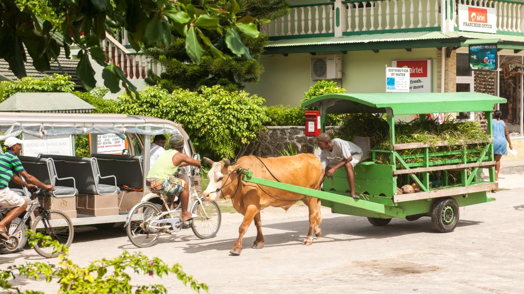 Foto 55: Le Surmer - La Digue (Seychelles)