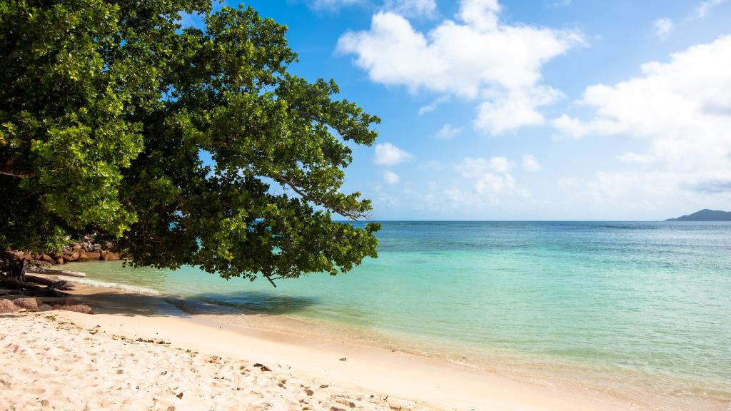 Foto 3: Le Surmer - La Digue (Seychellen)