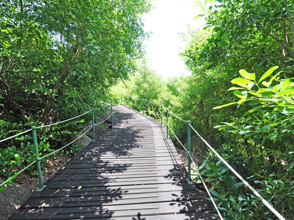 South Point Villas - Photo 6