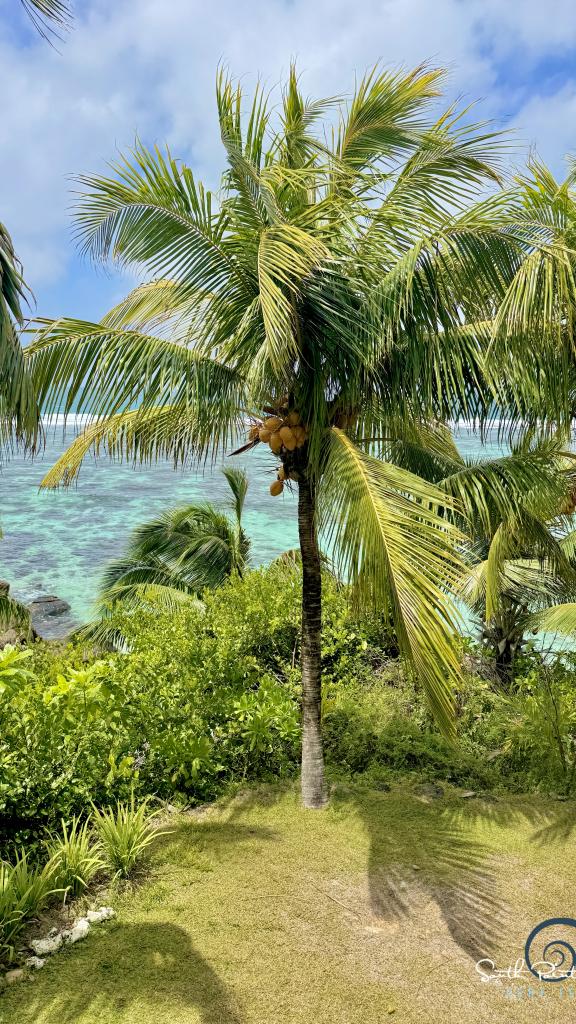 Photo 16: South Point Villas - Cerf Island (Seychelles)