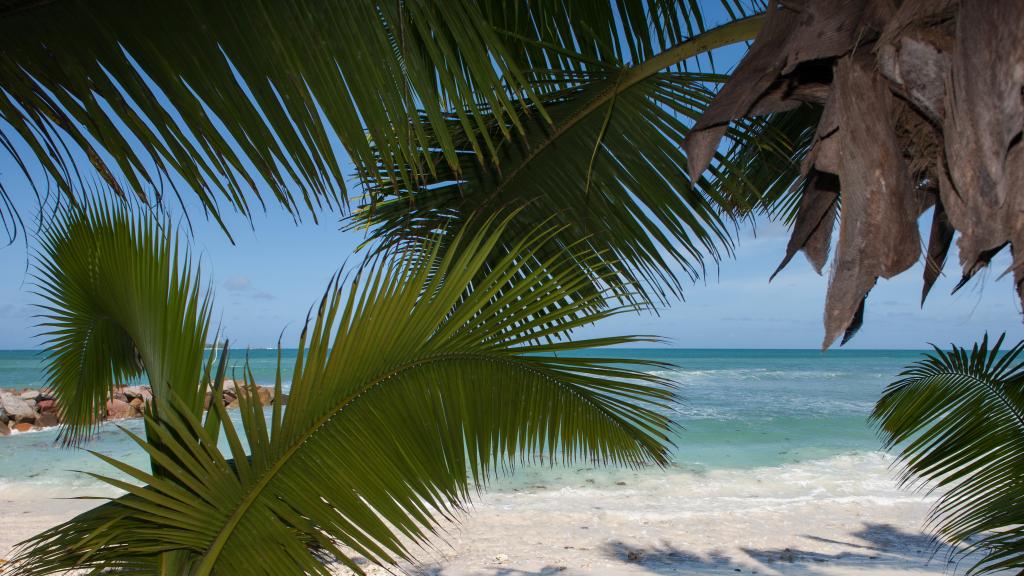 Foto 35: Villas de Mer - Praslin (Seychelles)