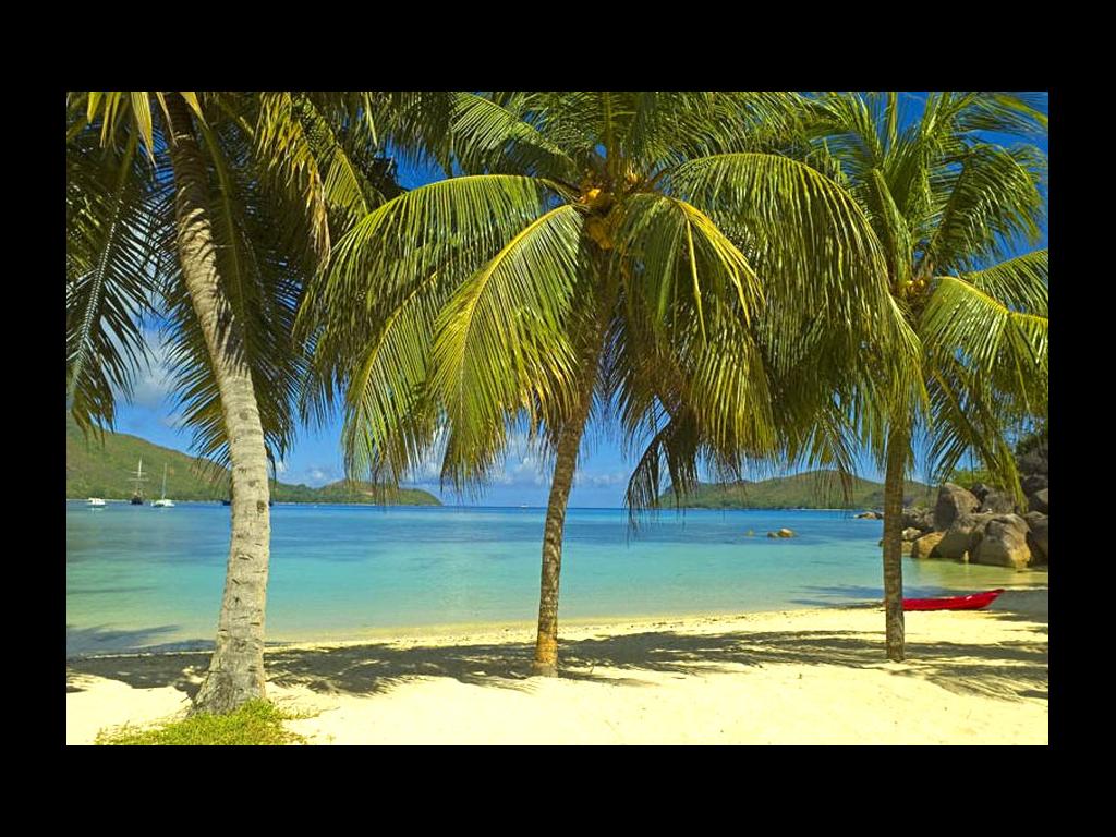 Le Domaine de La Reserve - Foto 5