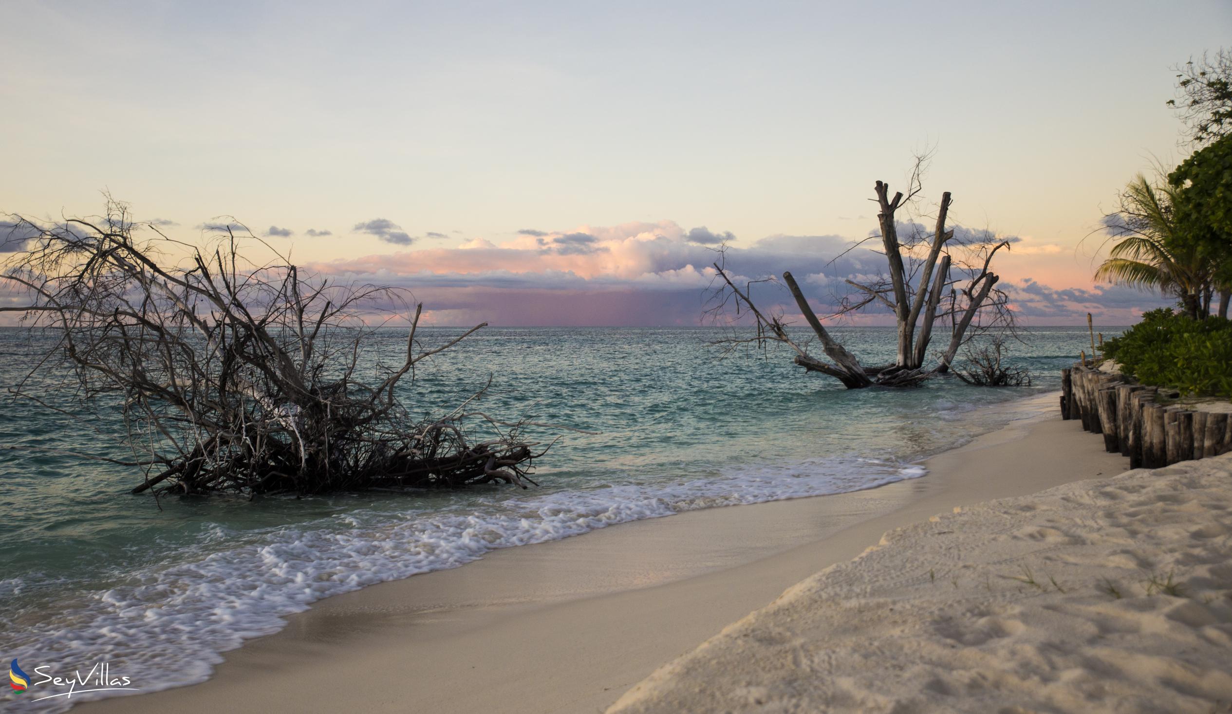 Foto 7: Denis Island Beaches - Weitere Inseln (Seychellen)