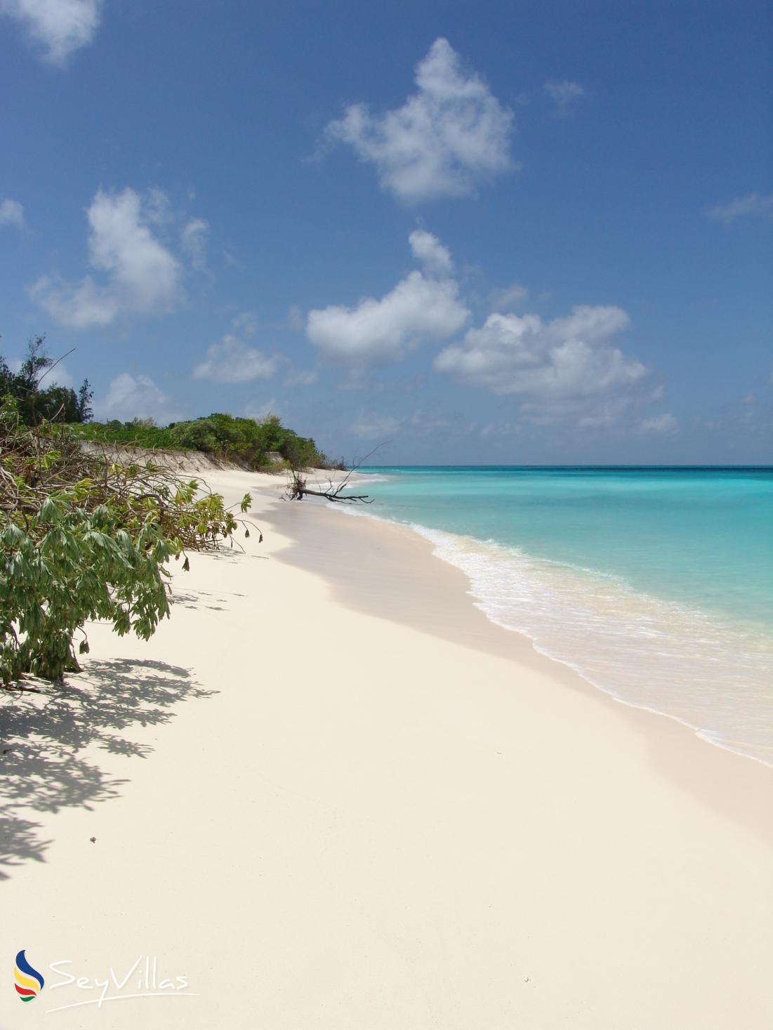 Foto 11: Bird Island Beaches - Weitere Inseln (Seychellen)