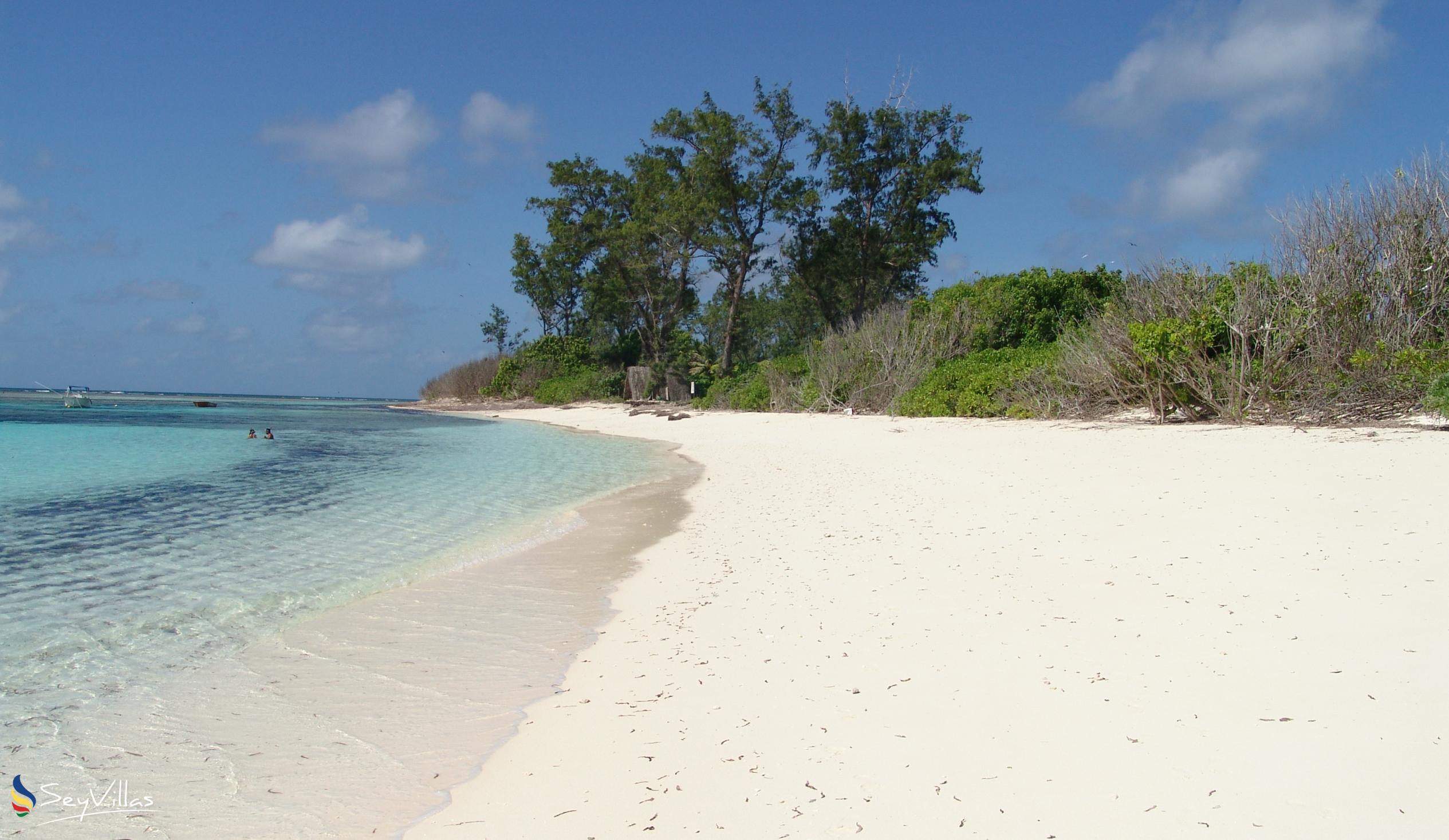 Photo 4: Bird Island Beaches - Other islands (Seychelles)