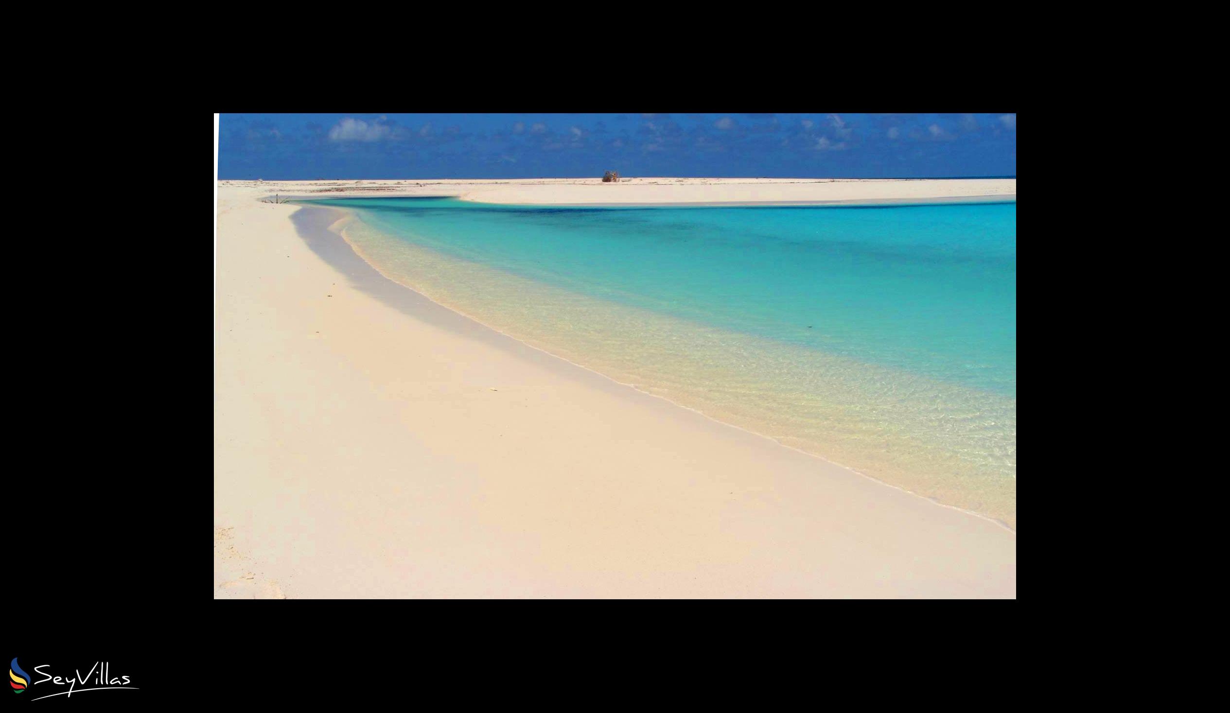 Foto 6: Bird Island Beaches - Weitere Inseln (Seychellen)