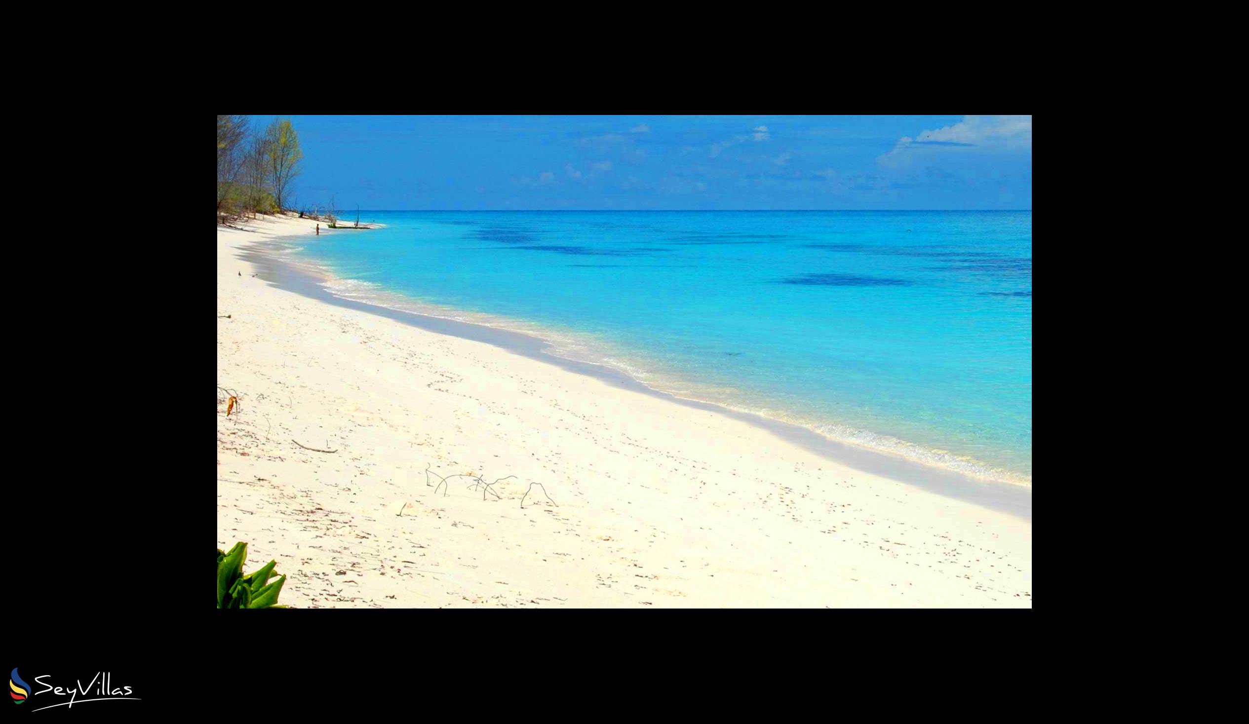 Foto 7: Bird Island Beaches - Weitere Inseln (Seychellen)
