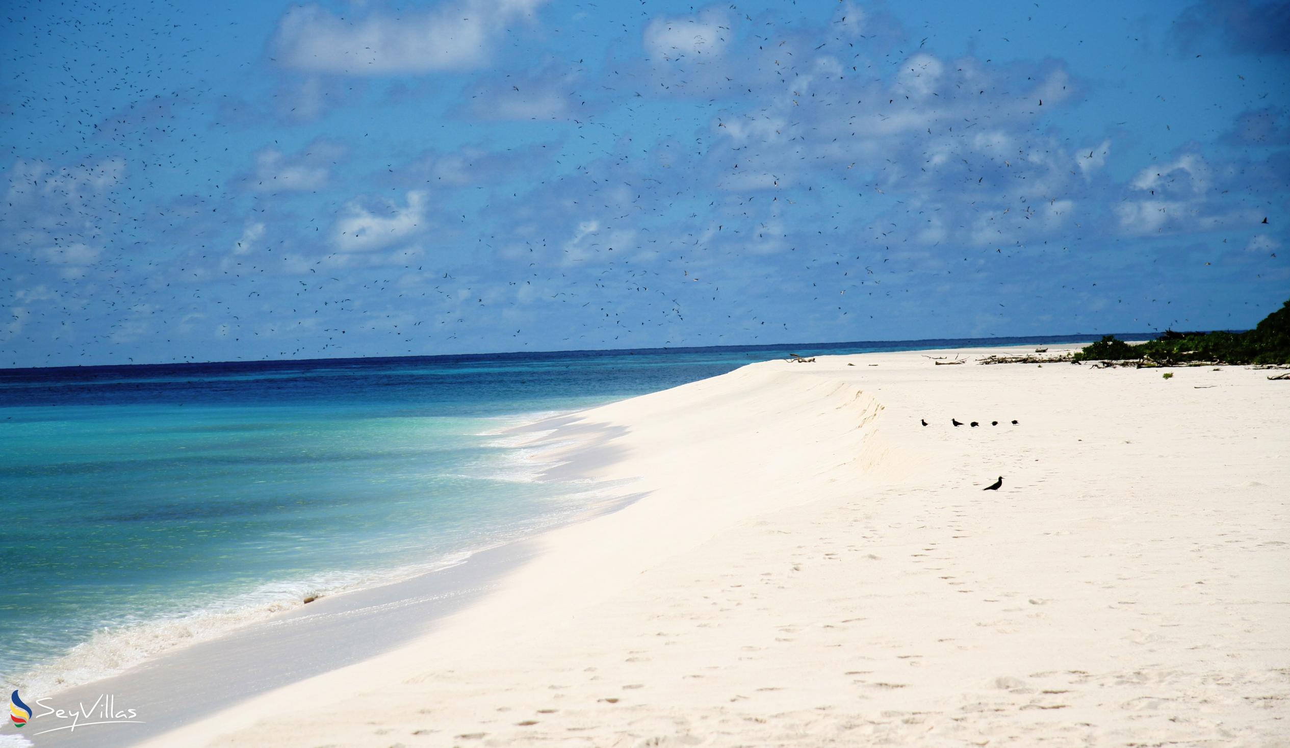 Foto 8: Bird Island Beaches - Weitere Inseln (Seychellen)