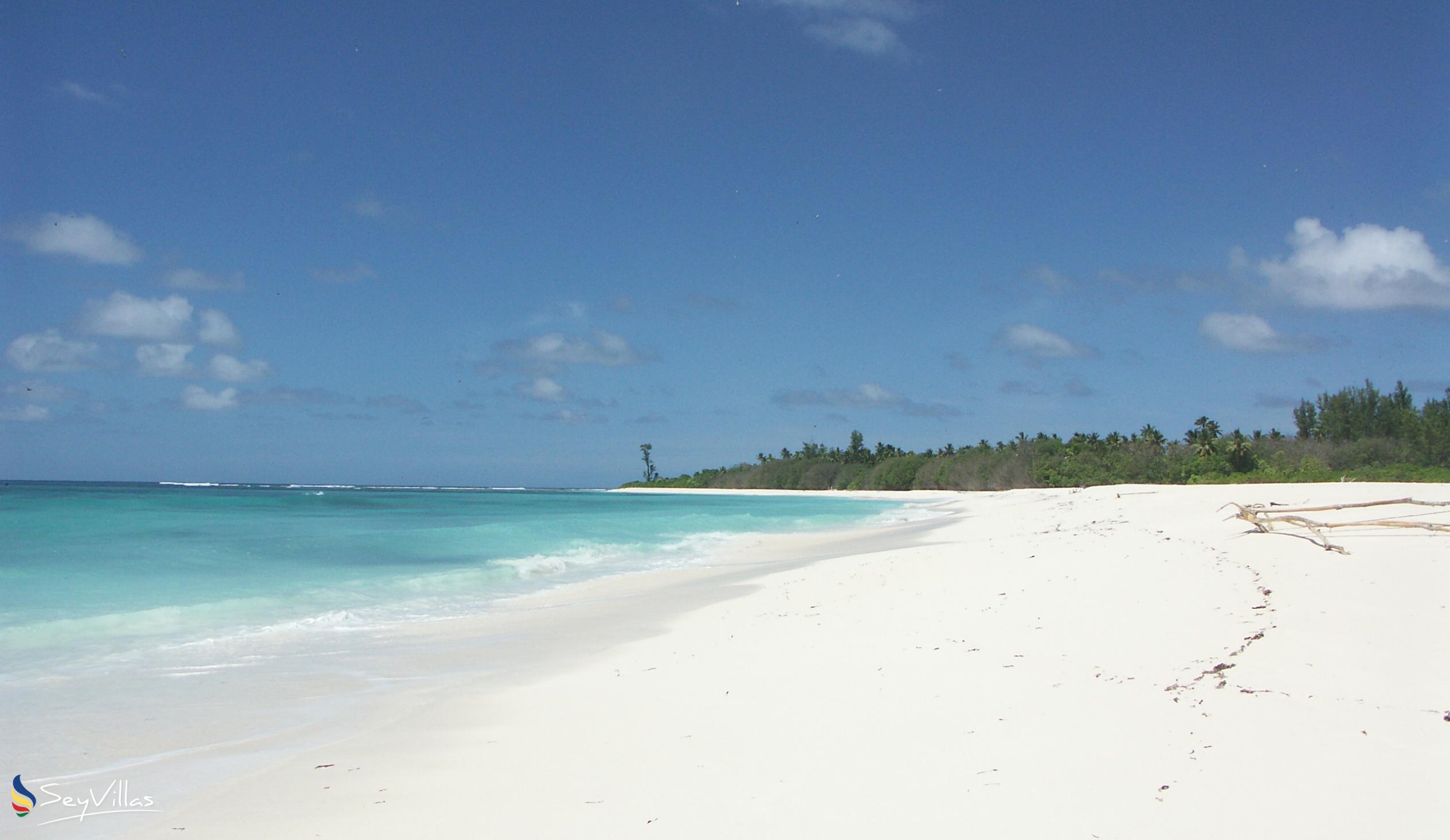 Foto 9: Bird Island Beaches - Weitere Inseln (Seychellen)