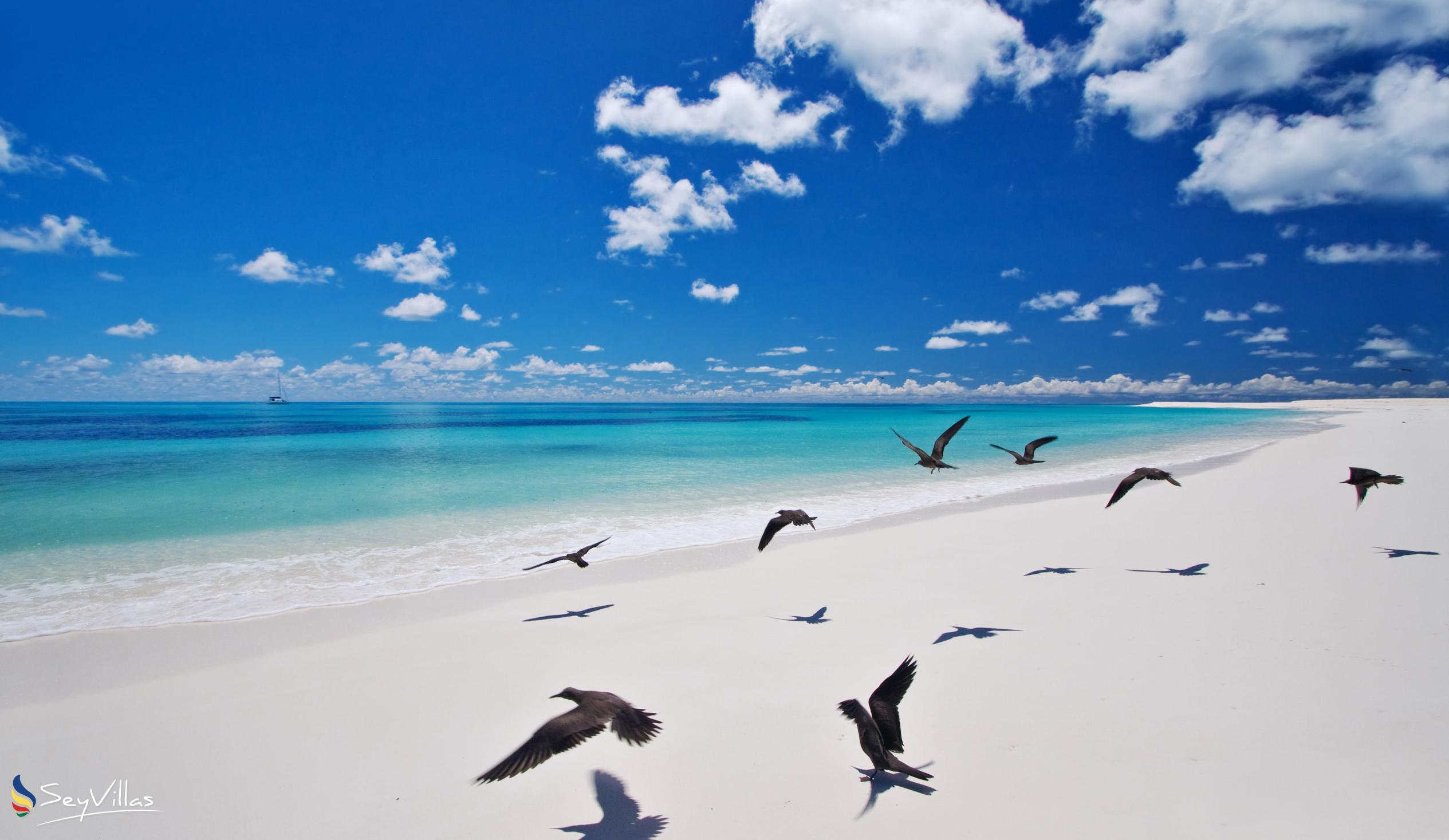 Foto 15: Bird Island Beaches - Weitere Inseln (Seychellen)