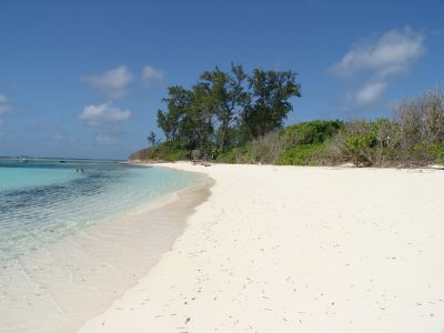 Bird Island Beaches, Other Islands