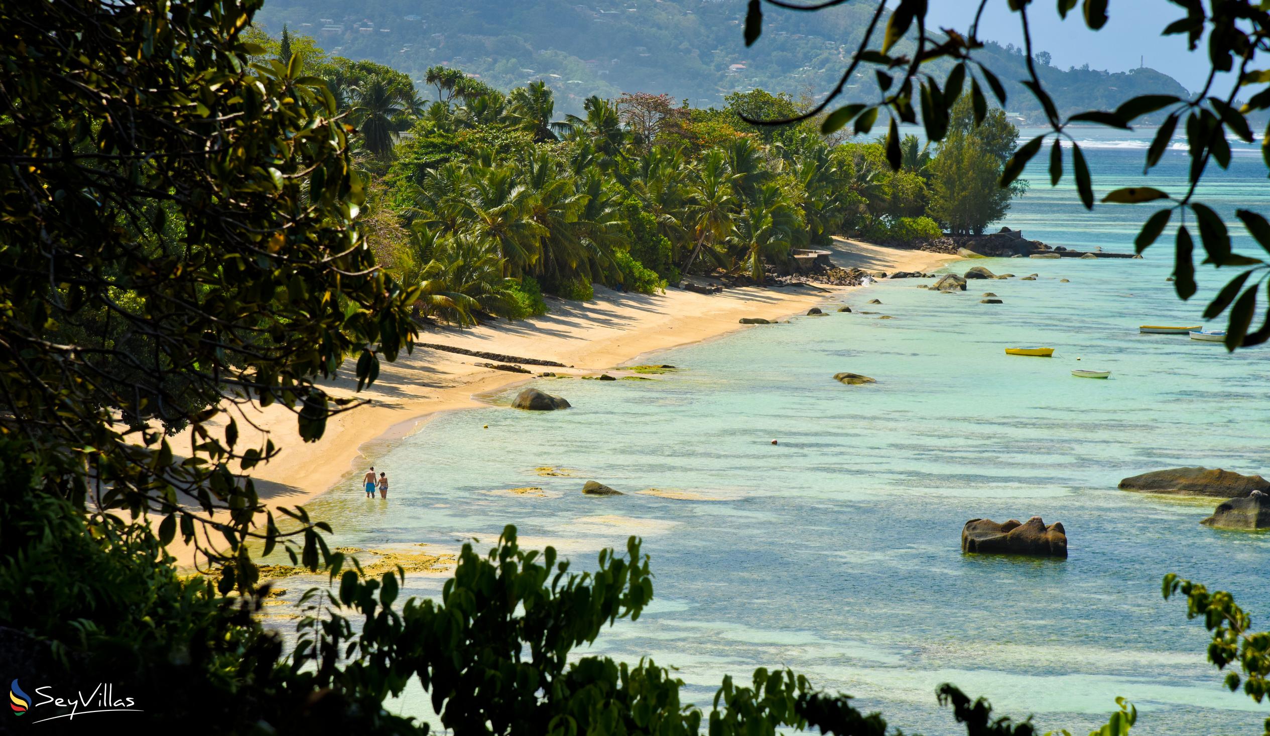 Foto 7: Pointe au Sel - Mahé (Seychelles)