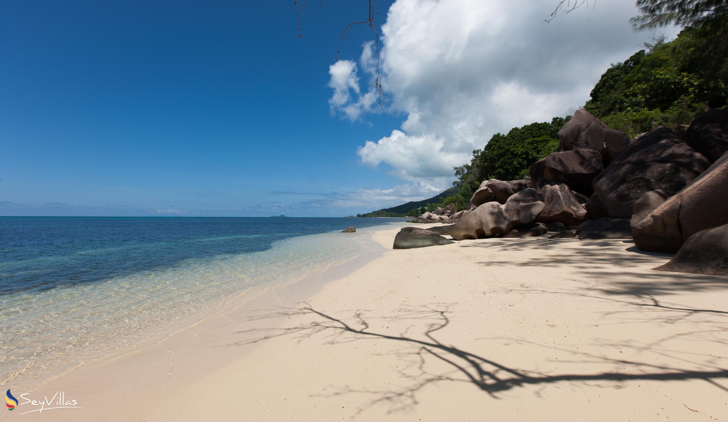 Photo 4: Anse Bois de Rose - Praslin (Seychelles)